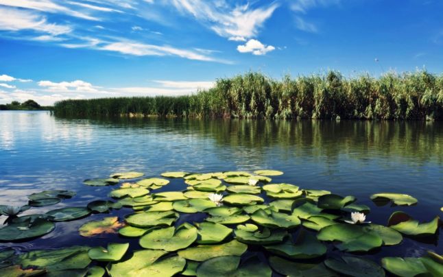 Danube Delta