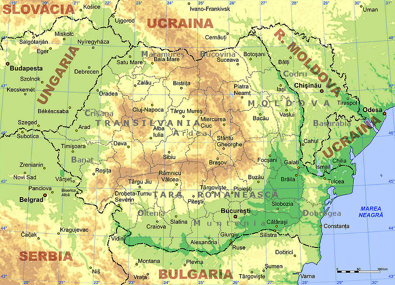 Overview
